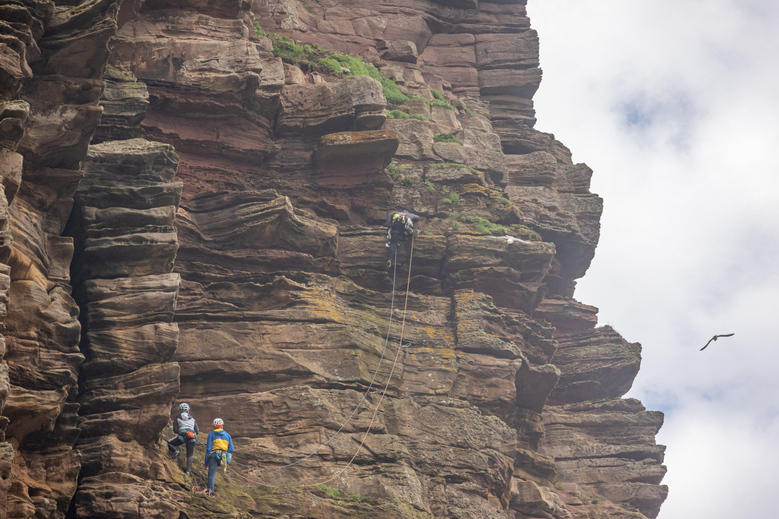 Old man of hoy Seastack pitch 5